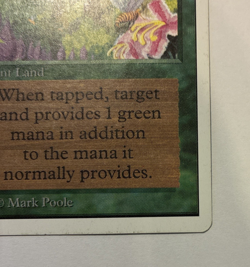 Wild Growth Unlimited Edition (2ED) Magic the Gathering 1993 common MP - Image 3