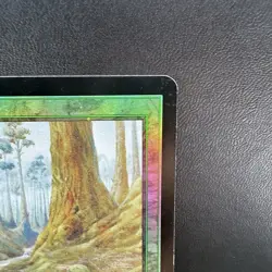 MTG Forest 349/350 LP FOIL Mercadian Masks Promo Green Land - Image 2