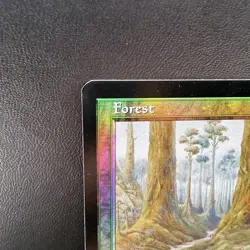 MTG Forest 349/350 LP FOIL Mercadian Masks Promo Green Land - Image 3