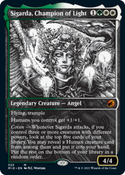 1 x Sigarda, Champion of Light - Foil - Showcase - Innistrad: Midnight Hunt - NM - Image 1