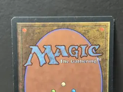 MTG Dandan Chronicles Regular Common Magic The Gathering - Image 5