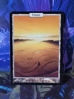 Plains - Full Art Unhinged Regular - Image 1