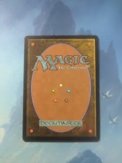 Seedtime Judgment Regular - Image 2