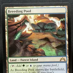 Breeding Pool 240/249 Gatecrash Simic Dual Land MTG Magic the Gathering NM - Image 1