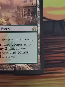 Stomping Ground Guildpact Regular LP - Image 4