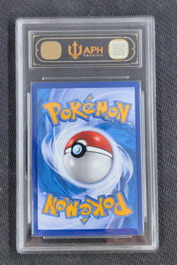 2023 Pokemon Friends in alola 081/S-P Promo S.chinese APH 10 - Image 2