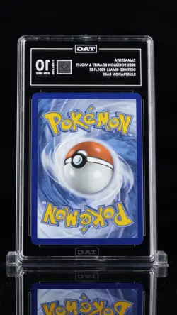 Pokemon Zamazenta 201/182 Sv10 Destined Rivals Illustration Rare Holo TAG Graded - Image 2