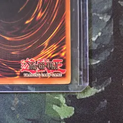 Konami Yu-Gi-Oh! Red-Eyes B. Dragon SDJ-001 Starter Deck Joey Holo Card English - Image 5
