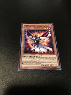 Raidraptor - Skull Eagle DOCS-EN014 Yu-Gi-Oh! Card Light Play Unlimited - Image 1