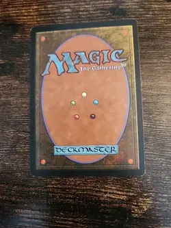 Final Fortune Mirage Regular - Image 2