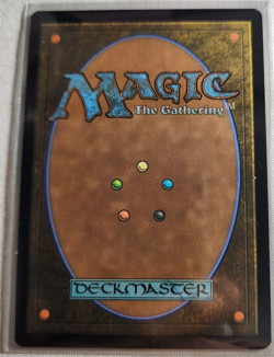 MTG - 2026 - Lorwyn Eclipsed - Kincaer Sentry - Unplayed - Pack to Sleeve - Image 2