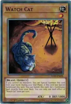 Watch Cat - FLOD-EN028 - Common - 1st Edition - Lightly Played - Image 1