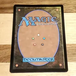 1x Tidus, Yuna's Guardian, Borderless Art Surge Foil 0213, Magic MTG NM - Image 2