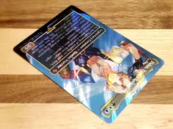 1x Tidus, Yuna's Guardian, Borderless Art Surge Foil 0213, Magic MTG NM - Image 3