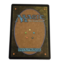 MTG: Aragorn and Arwen, Wed (Extended Art) Universes Beyond: the Lord of the... - Image 2