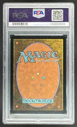 124902593 Culling the Weak 2024 Magic: Gathering Secret Lair Drop Foil PSA 8 - Image 2