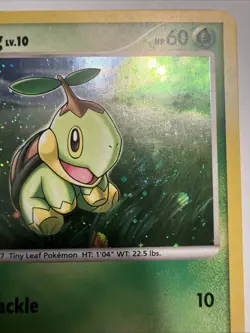 Pokemon Turtwig #DP01 Holo SWIRL Diamond & Pearl TCG LP - Image 4