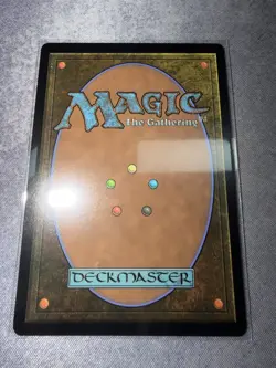 MTG FOIL Plains - 2026 Year of the Horse - APAC Promo - Image 2