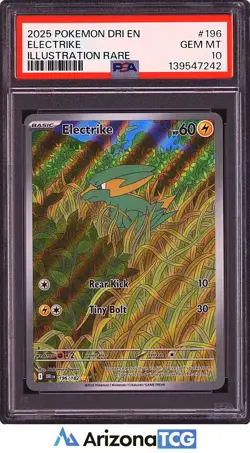 Pokemon 2025 Electrike 196/182 Illustration Rare Destined Rivals GEM MINT PSA 10 - Image 1