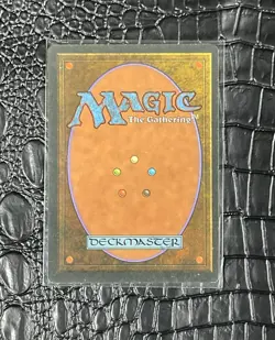 Dandan Chronicles Regular Blue Card with White Border - Image 2