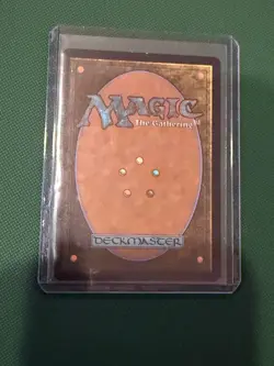 Doubling Season (Borderless) #0011 Non-Foil Teenage Mutant Ninja Turtles NM ENG - Image 2