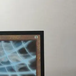 Soul Net x (1) MTG - Collectors' Edition (CE) - EX/NM - Image 3