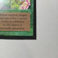 Wild Growth x (1) MTG - Collectors' Edition (CE) - EX/NM - Image 4