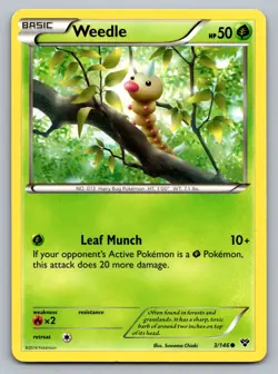 Pokemon TCG XY Base Set Weedle 3/146 - Image 1