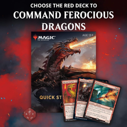 Magic: the Gathering Spellslinger Starter Kit Core Set 2020 (M20) | 2 Starter De - Image 4