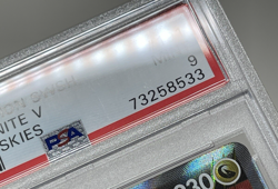 Dragonite V Full Art 2021 Pokemon SWSH Evolving Skies #191 PSA 9 - Image 3
