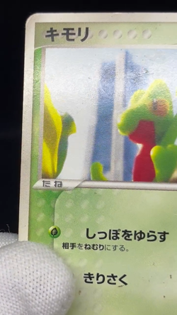 (HP) Treecko 037/PCG-P Yokohama Pokemon Center PROMO Japanese Pokemon card - Image 2