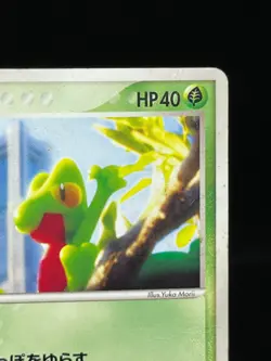 (HP) Treecko 037/PCG-P Yokohama Pokemon Center PROMO Japanese Pokemon card - Image 5