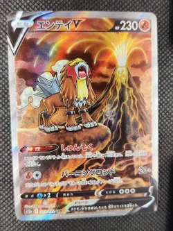 Entei V - 213/172 - Full Art SAR VSTAR Universe Japanese - Pokemon Card - NM - Image 3