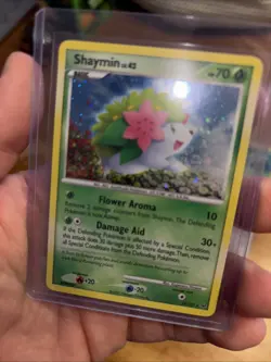 Pokemon Vintage Holo Lot Japanese And English Blastoise Swirl 2007-2009 - Image 2