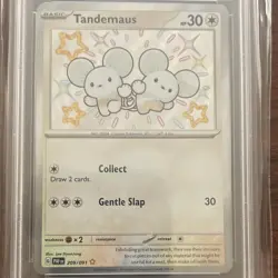 🔥🔥Tandemaus 🔥🔥Pokemon SV: Paldean Fates 209/091 Shiny Rare Holo PSA 9 - Image 3