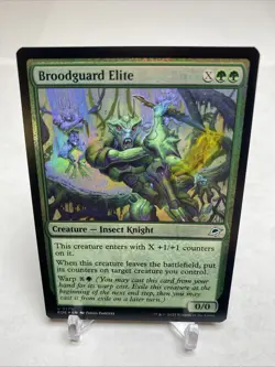 MTG - Broodguard Elite (Foil) - Edge of Eternities Mint / NM #175 - Image 1