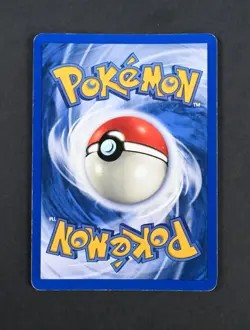 LP Pidgeot Holo/Foil 1st Edition Jungle Set 8/64 Pokemon Card - Image 2