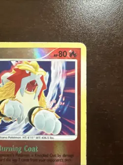 Entei LV.43 4/132 Reverse Holo DMG Pokemon TCG Secret Wonders - Image 3