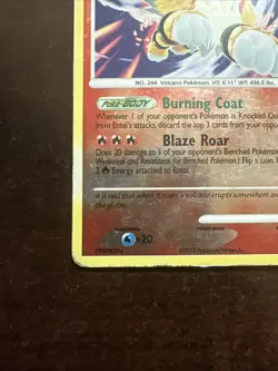 Entei LV.43 4/132 Reverse Holo DMG Pokemon TCG Secret Wonders - Image 5