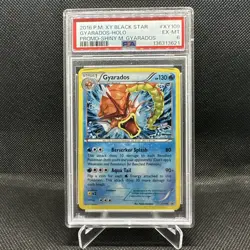 2016 POKEMON XY BLACK STAR PROMO SHINY MEGA GYARADOS #XY109 GYARADOS-HOLO PSA 6 - Image 1