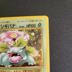 Pokemon TCG Venusaur Holo CD Promo Japanese No.003 - Image 3