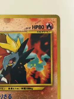 Entei No.244 Neo3 Revelation cross Vintage holo Japanese Pokemon Card From Japan - Image 3