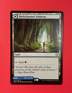 Barkchannel Pathway - Kaldheim - Magic The Gathering -MTG - Image 1