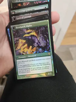 Magic the Gathering Innistrad Foil Full Set Cards - Image 4