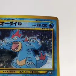 Pokemon Cards Feraligatr No.160 Neo Premium File 1999 Old Back VG Japanese g706 - Image 3