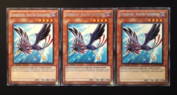 Yu-Gi-Oh! 3x Schwarzflugel-Kochi der Tagesanbruch, DP11-DE010, Rare, 1.A., NM-EX - Image 1