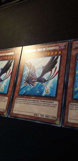 Yu-Gi-Oh! 3x Schwarzflugel-Kochi der Tagesanbruch, DP11-DE010, Rare, 1.A., NM-EX - Image 3