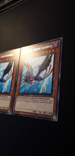 Yu-Gi-Oh! 3x Schwarzflugel-Kochi der Tagesanbruch, DP11-DE010, Rare, 1.A., NM-EX - Image 4
