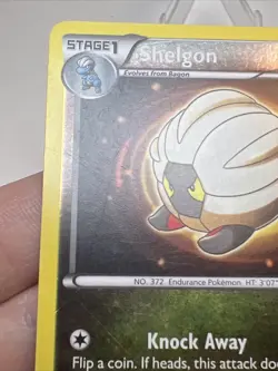 MP- Shelgon 7/20 Regional Championships 2012 Stamped Reverse Holo Pokemon Card - Image 4