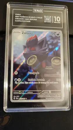 ZORUA - #075/064 - Shrouded Fable - ILLUSTRATION RARE - TAG 10 GEM MINT -Pokemon - Image 5